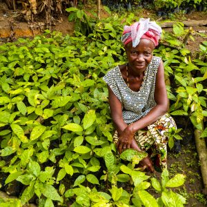 Nancy Mansarray, a Gola Rainforest local, with nursery plants.