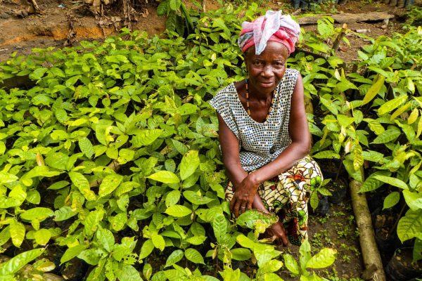 Nancy Mansarray, a Gola Rainforest local, with nursery plants.