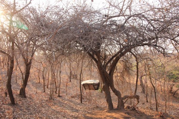 A beehive in the Kariba Wildlife Corridor project.