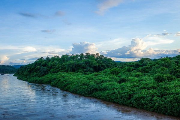 River and forest in the Kariba project, Zimbabwe.