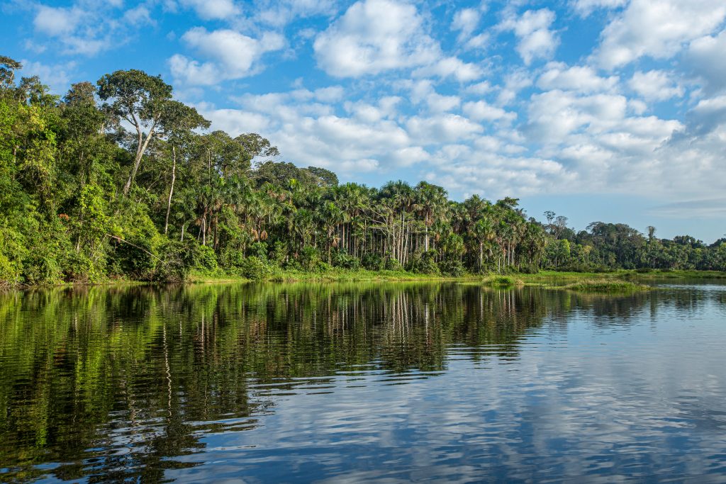 The Tambopata River, Peru. (C) Marlon Dag.