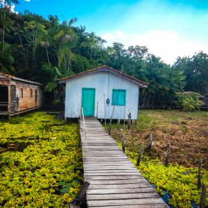 Colourful houses in the Brazilian Rosewood project.