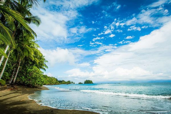 A tropical beach along the Colombian Pacific coast in the Pacific Forest Communities.