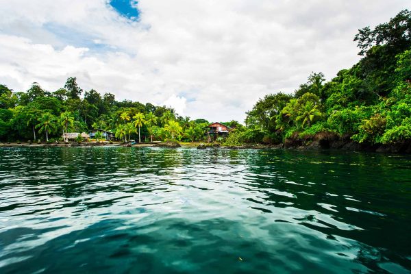 A river in the Pacific Forest Communities, Colombia.