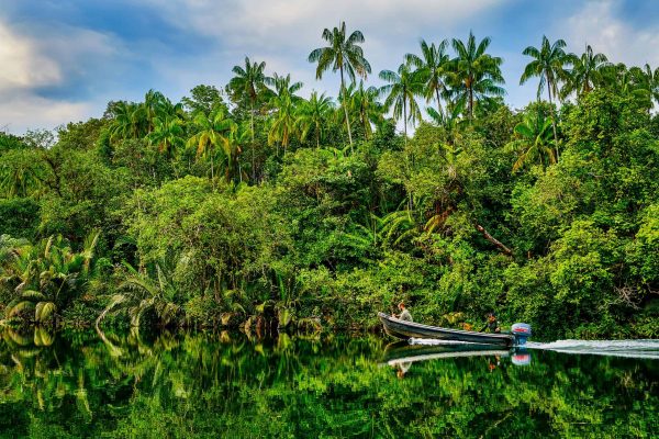 Jungle and river in Southern Cardamom, Cambodia.