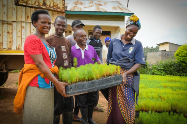 Bukaleba-community-with-box-of-trees