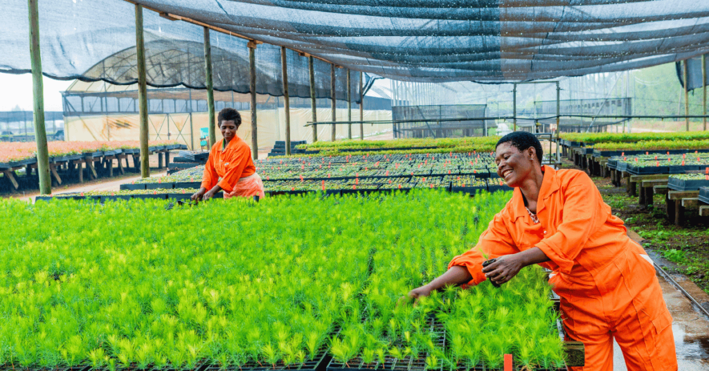 Two women smiling and working in greenhouse at bukaleba forest project