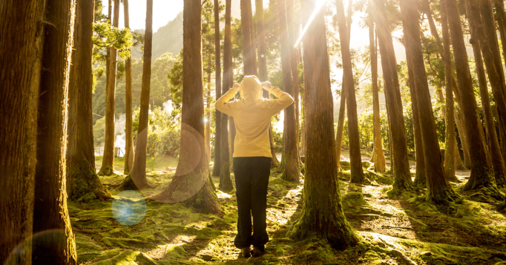 Person forest bathing amonst trees in a yellow coat