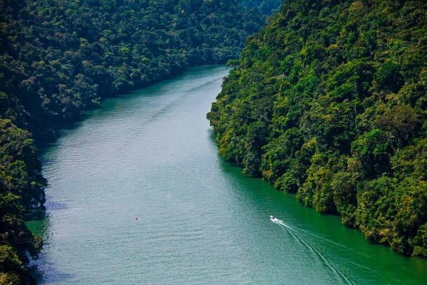 A boat travels up a river in the Guatemala Caribbean Coast project.