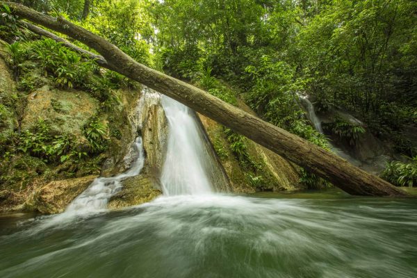 Running water and a waterfall in the Guatemala Caribbean Coast project.