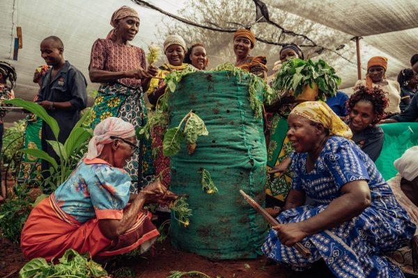 Women in the Kasigau project working with trees. Photo credit: Filip C. Agoo for Wildlife Works Carbon.