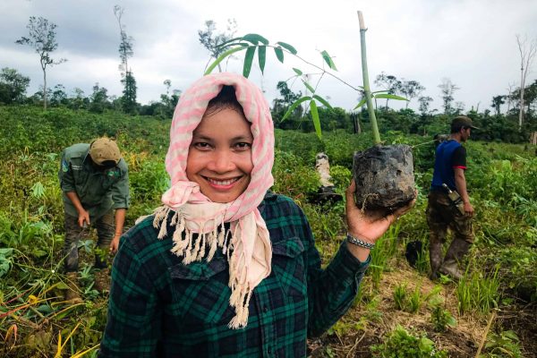 A young girl holds a tree sapling during tree planting operations in the Keo Seima project, Cambodia. (C) WCS.