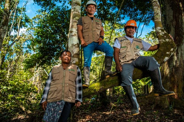 workers near a tree in the Nii Kaniti project